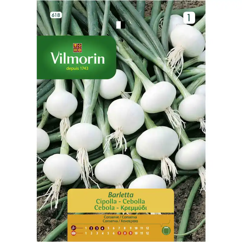 Envío Inmediato Semilla cebolla blanca barletta