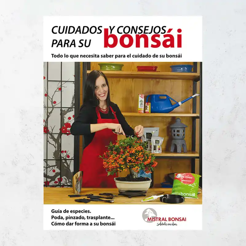 Guía cuidados y consejos bonsái Garantía Incluida