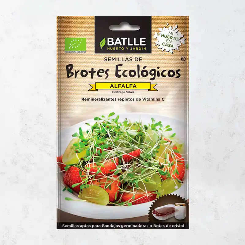 Mejor Precio Semillas brote alfalfa
