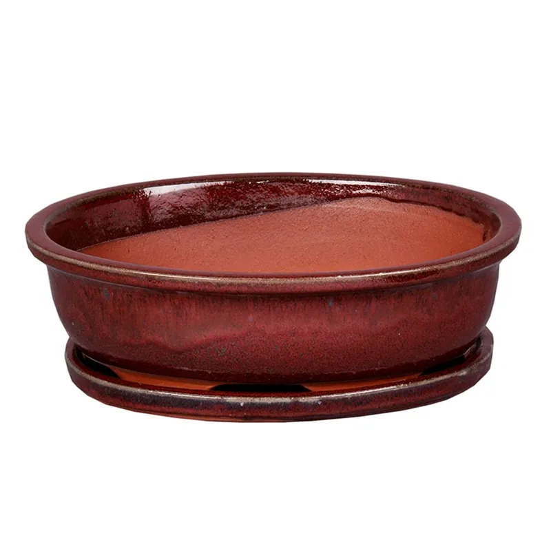 Maceta bonsai asuka+plato rojo Promoción Exclusiva