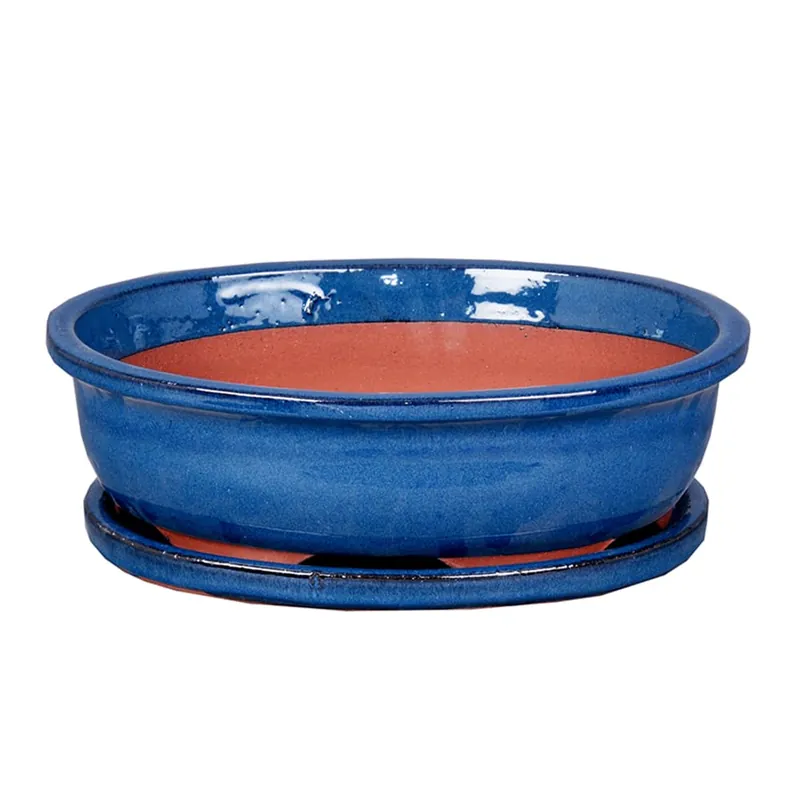 Ordenar Ahora Mismo Maceta bonsai asuka+plato azul