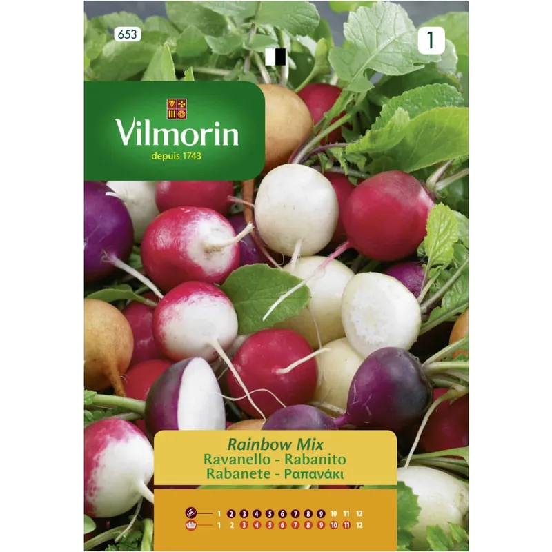 Semilla rabanitos redondos multicolor Lujoso