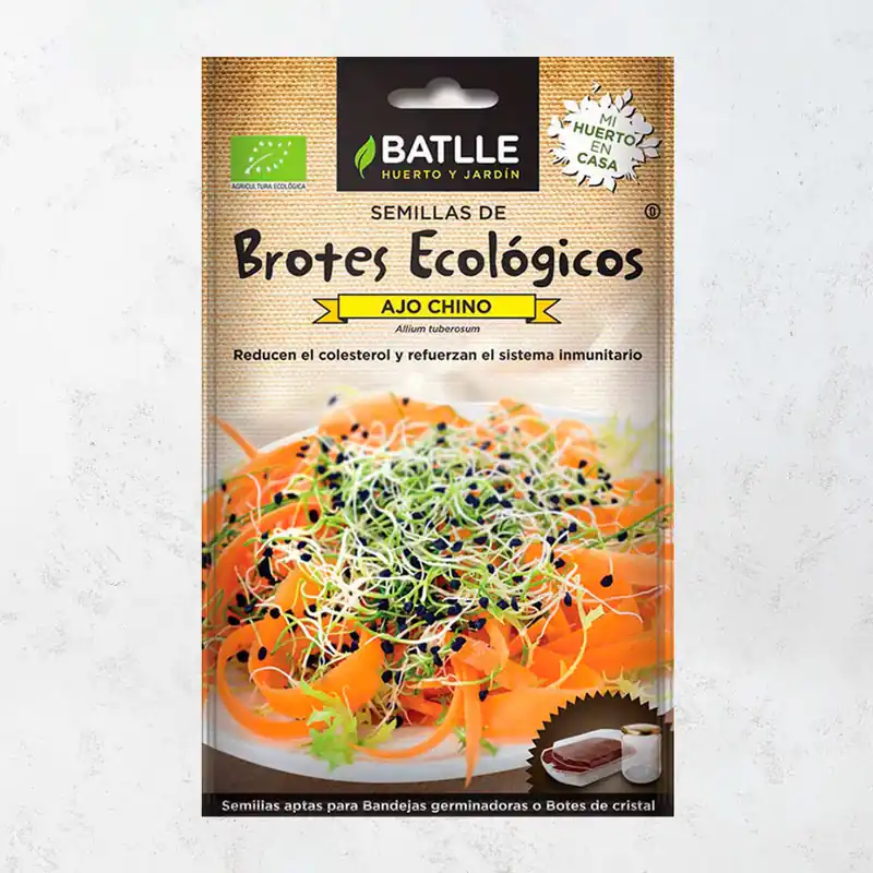 Mejor Calidad Semillas brotes ajo chino eco