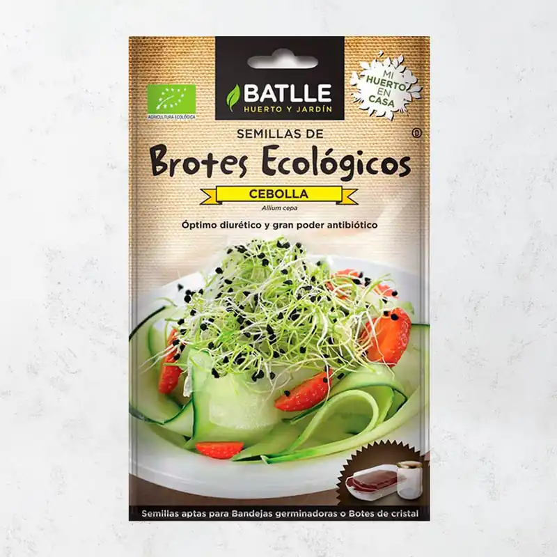 Súper Precio Semillas brotes cebolla eco