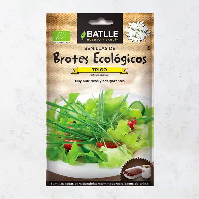 Semillas brotes trigo eco Envío Internacional