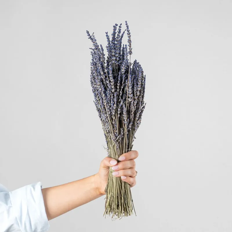 Máxima Calidad Ramillete de Lavanda seco natural