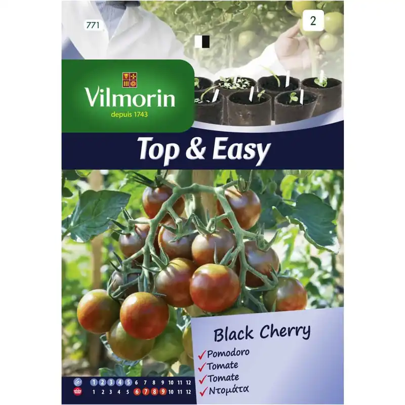 Semilla tomate black cherry Gran Oferta