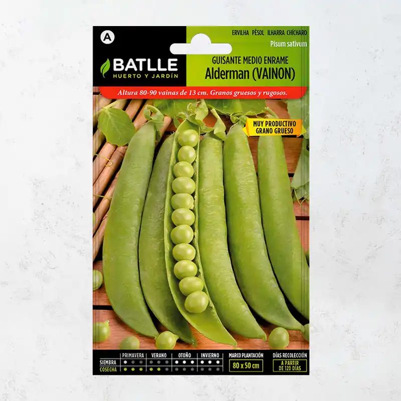 Semillas guisante medio (vainon) Precio De Fábrica