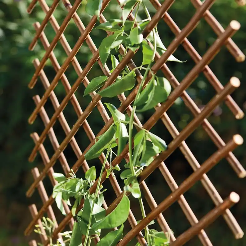 Garantía De Devolución De Dinero Celosía de Mimbre Natural Willow Trellis