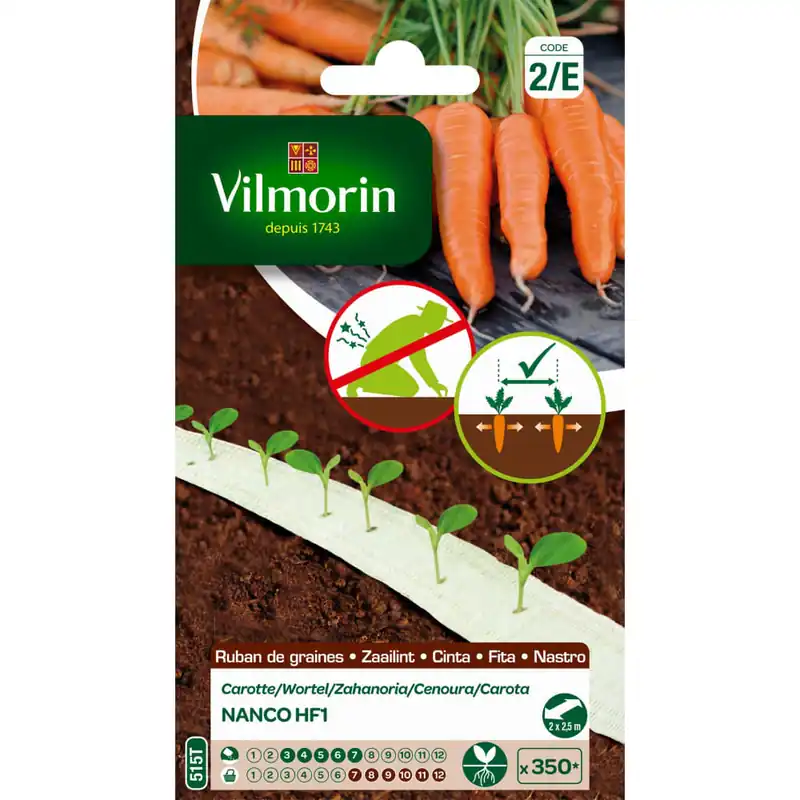 Semilla cinta zahanoria nanco Oferta Limitada
