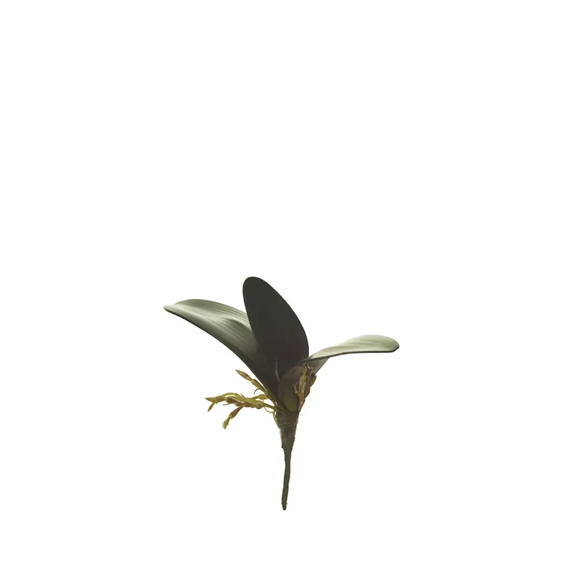 Hoja de orquídea con raíces artificial Garantía De Devolución De Dinero