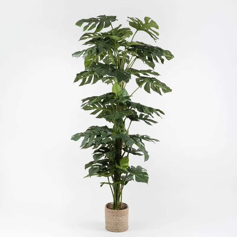 Última Oportunidad Árbol de Monstera Artificial