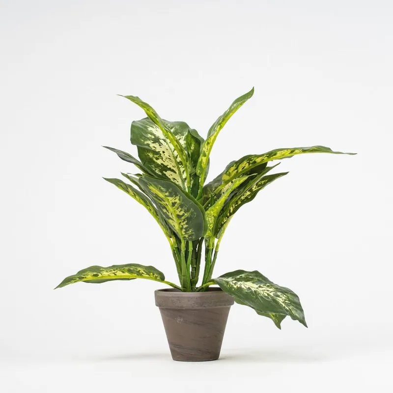 Maceta dieffenbachia artificial verde Devolución Gratuita