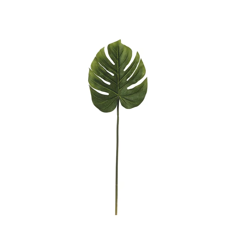 Popular Hoja de monstera vara larga