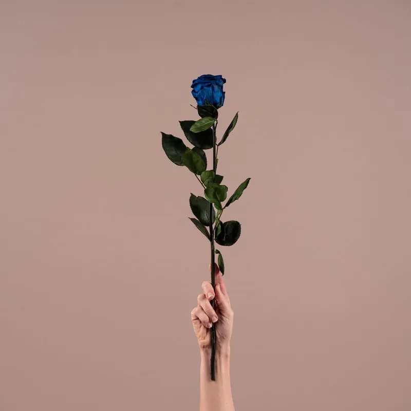 Rosa Preservada Eterna Azul Descuento