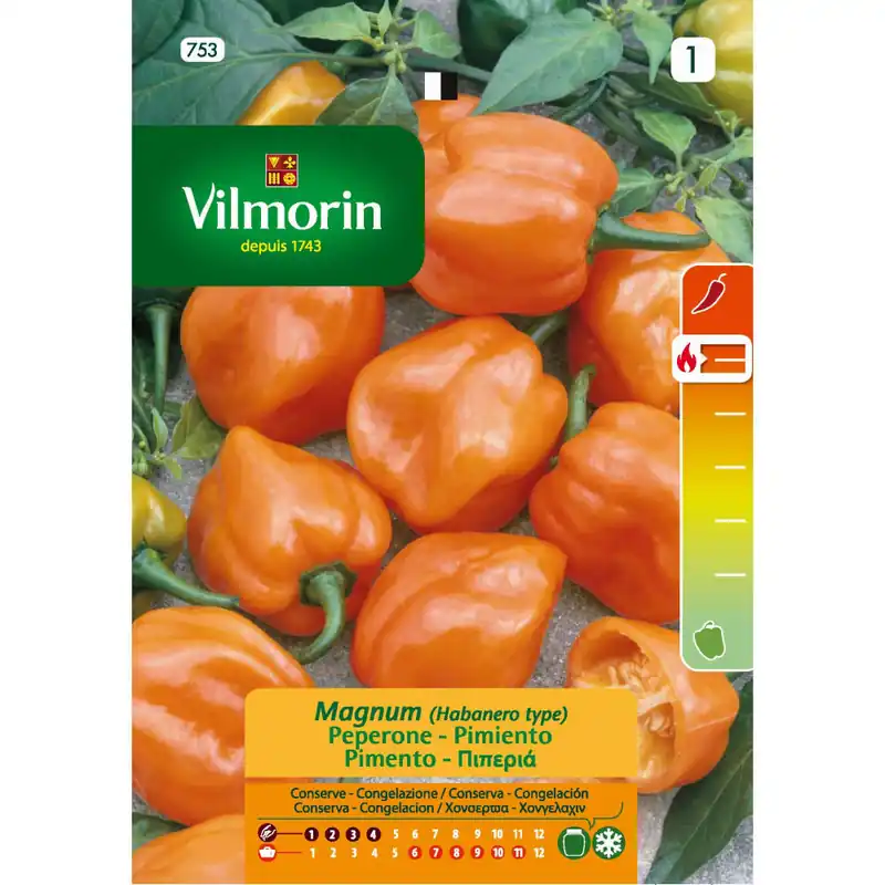 Semilla pimiento magnum habanero naranja Lujoso