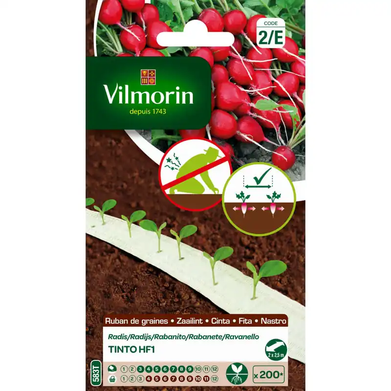 Semilla cinta rabanito tinto Bestseller