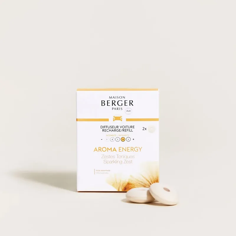Venta Final Recambio difusor de aromas para coche Berger Zestes Toniques