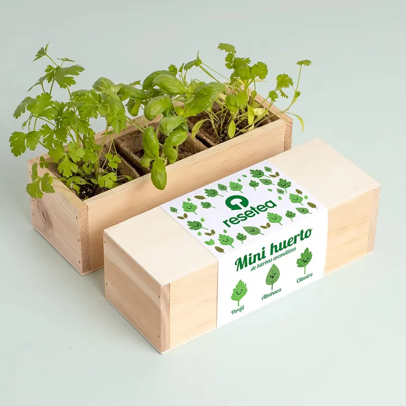 Marca Reconocida Mini Huerto de Hierbas Aromáticas Resetea