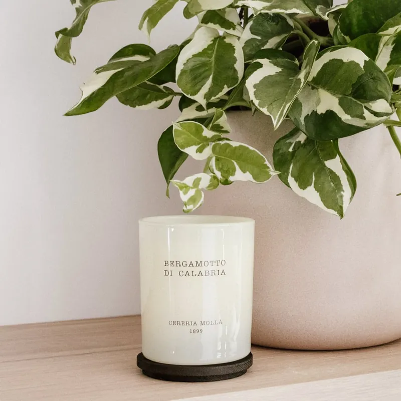 Vela perfumada Cerería Mollá Bergamotto di Calabria (230 gr) Exclusivo