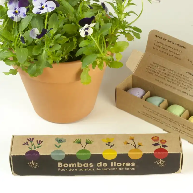 Solo Por Tiempo Limitado Pack de 6 Bombas de Flores SIlvestres Resetea