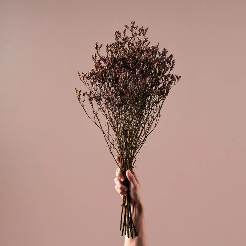 Última Versión Ramillete Preservado de Limonium morado