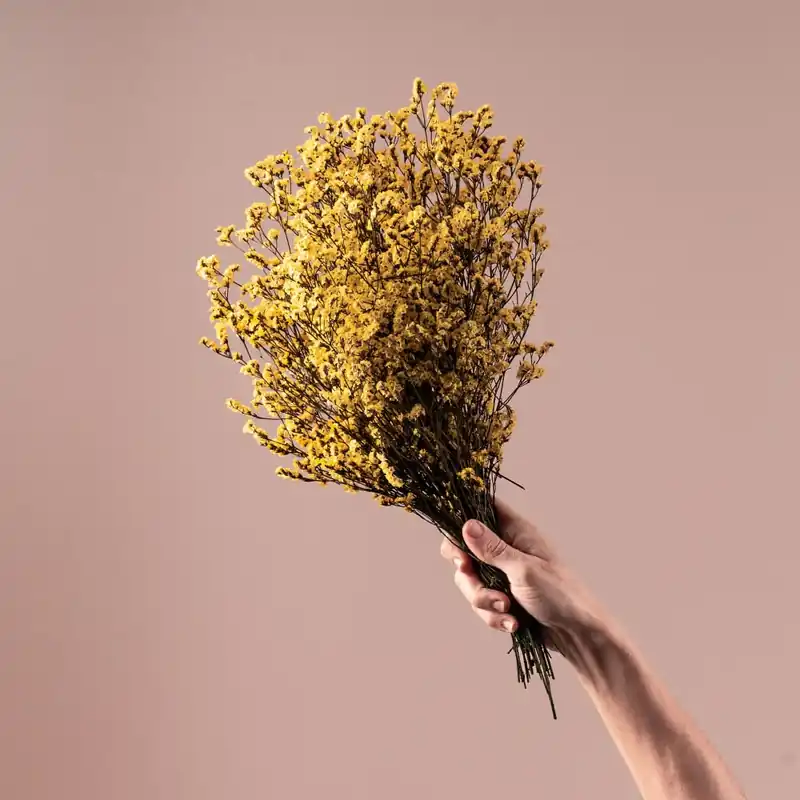 Ramillete Preservado de Limonium amarillo Pago Seguro