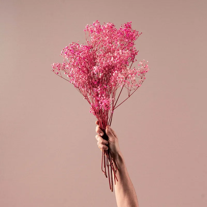 Ramillete Preservado de Paniculata Xlence fucsia Original
