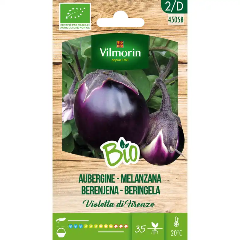 Semillas Berenjena de Florencia Bio Vilmorin Envío Inmediato