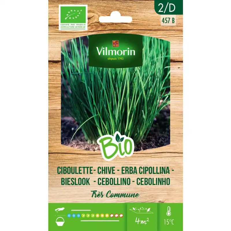 Semillas Cebolleta Bio Vilmorin Solo Por Tiempo Limitado