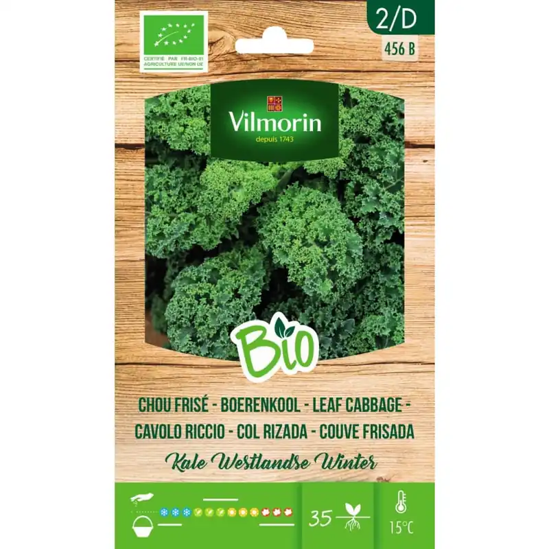 Imprescindible (Must-Have) Semillas Col Rizada (Kale) Bio Vilmorin