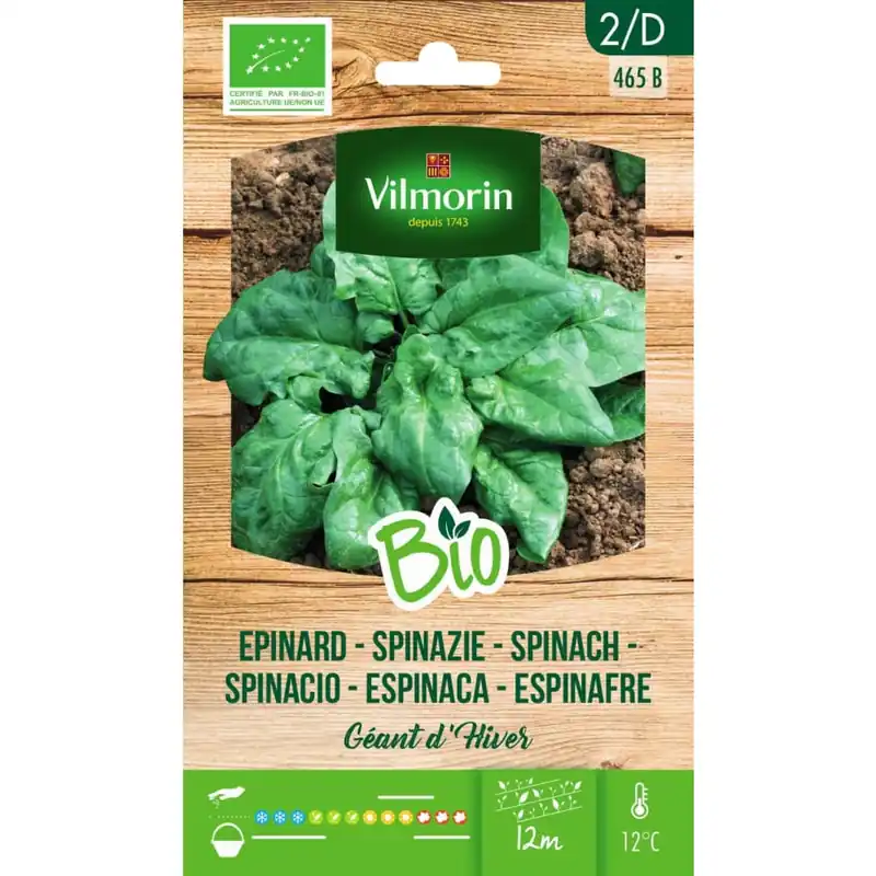 Directo De Fábrica Semillas Espinaca Gigante de Invierno Bio Vilmorin