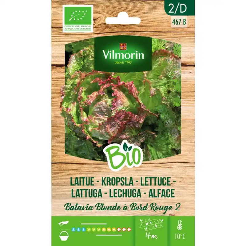 Pedido Al Por Mayor Semillas Lechuga de Batavia Rubia Bio Vilmorin