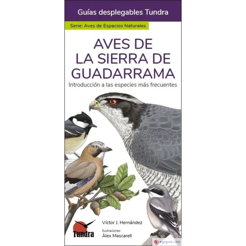 Libro Aves de la Sierra de Guadarrama - Guía Desplegable Tundra Precio Rebajado