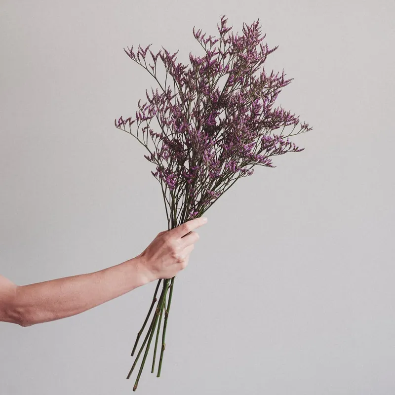 Pago Seguro Ramillete de Limonium morado