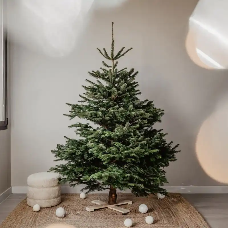 Devolución Gratuita Árbol de Navidad Natural Nordmanniana (cortado)