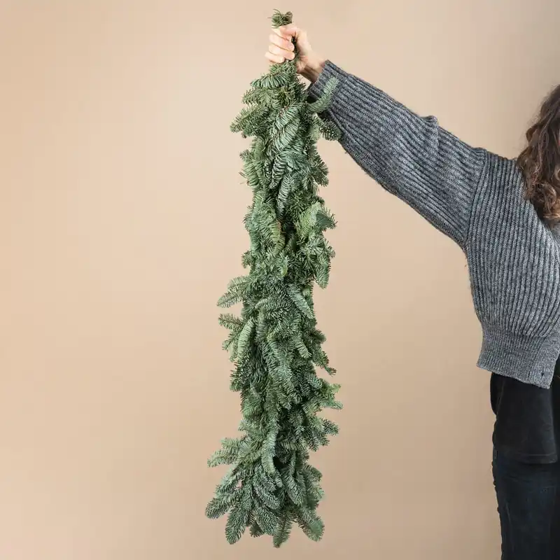 Solo Por Tiempo Limitado Guirnalda natural de ramas de abeto