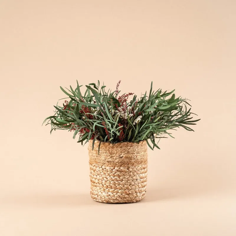 Cesto de Eucalipto Nicolli con Solidago y Limonium preservado Económico
