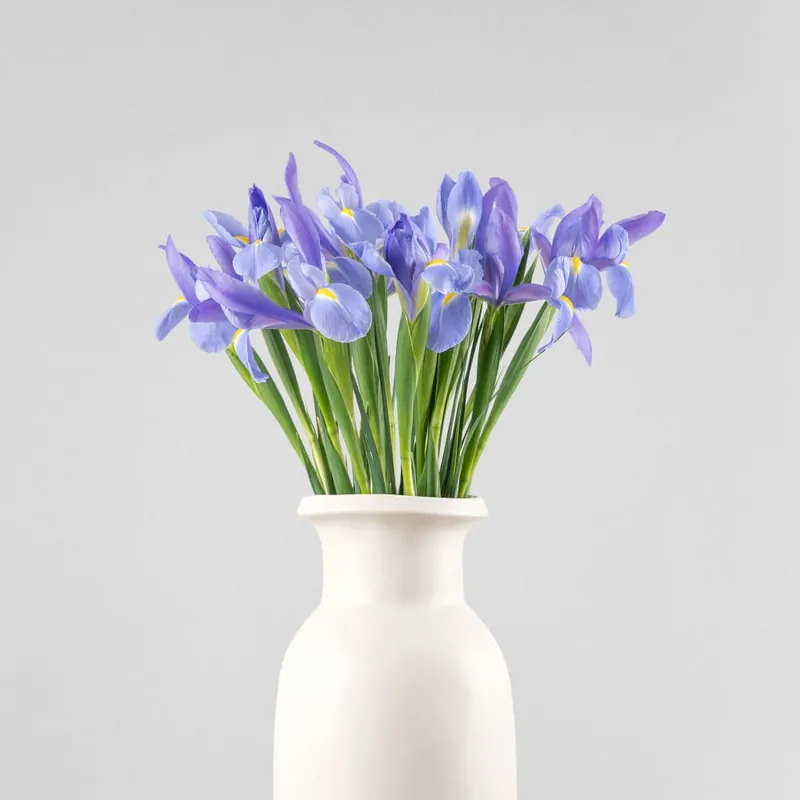 Ramillete de Iris Envío Exprés