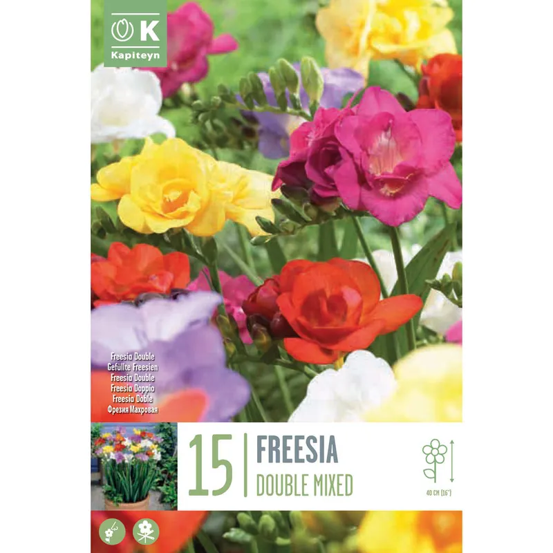 Bulbos de Freesia doble mix colores Última Oportunidad