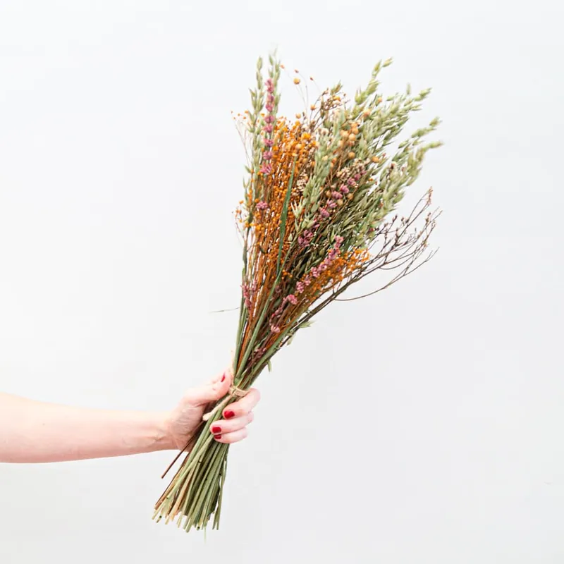 Ramillete de Avena, Brooms, Limonium, Trigo y Lino Preservado De Moda