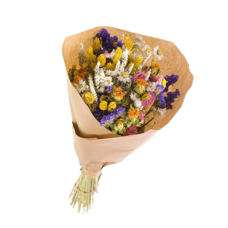 Oferta De Temporada Ramo de Flores Secas Multicolor