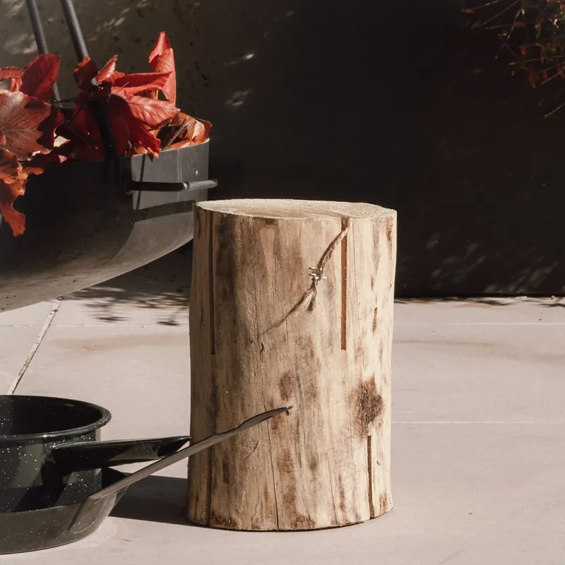 Bestseller Bloque de madera para encender fuego Esschert