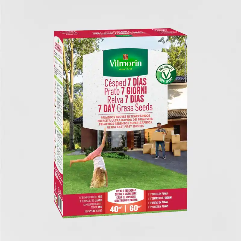 Semillas de césped Vilmorin brotes ultrarrápidos Oferta Limitada