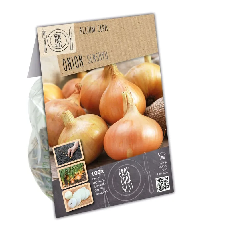 Bulbos de cebolla Senshyu Overwinter Precio De Fábrica