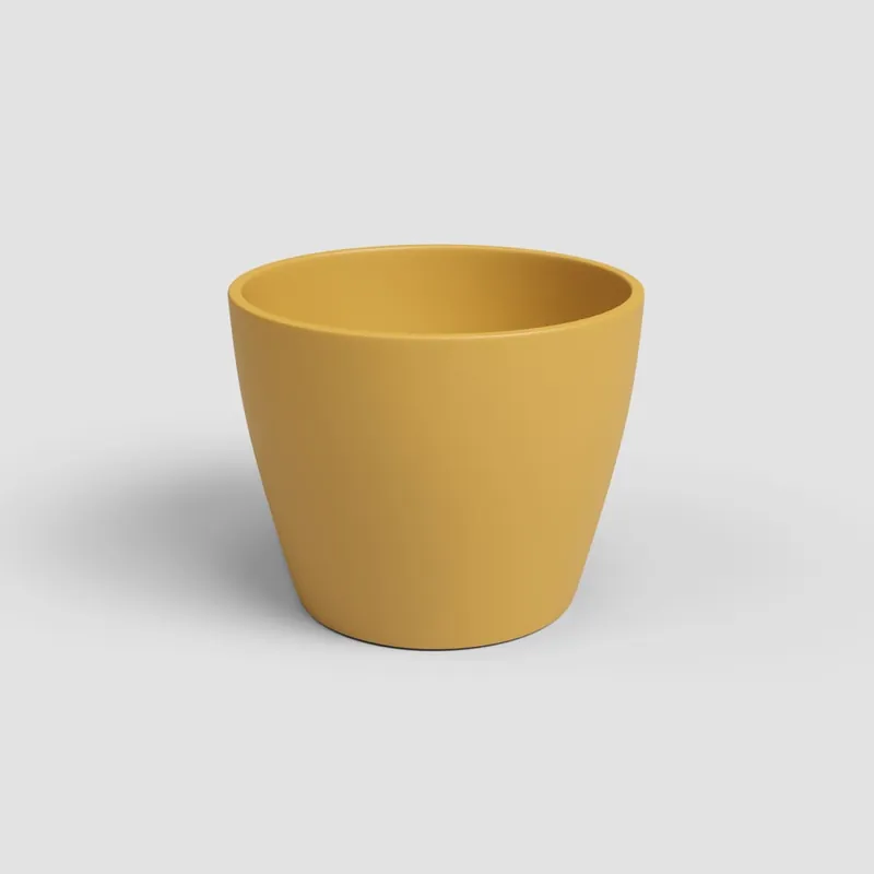 Maceta de Interior Nubia Cactus amarillo Comprar En Línea