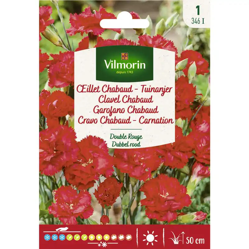 Premium Semilla clavel doble rojo