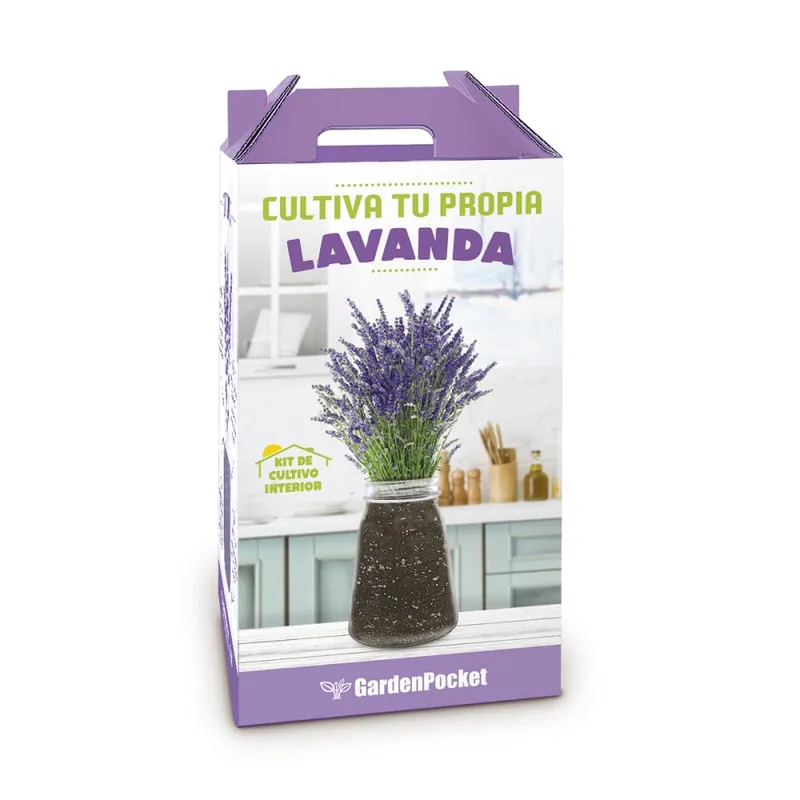 Lujoso Kit Cultiva tu propia lavanda