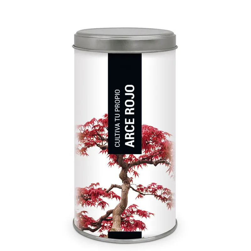 Kit Cultiva tu propio arce rojo Garantía Incluida