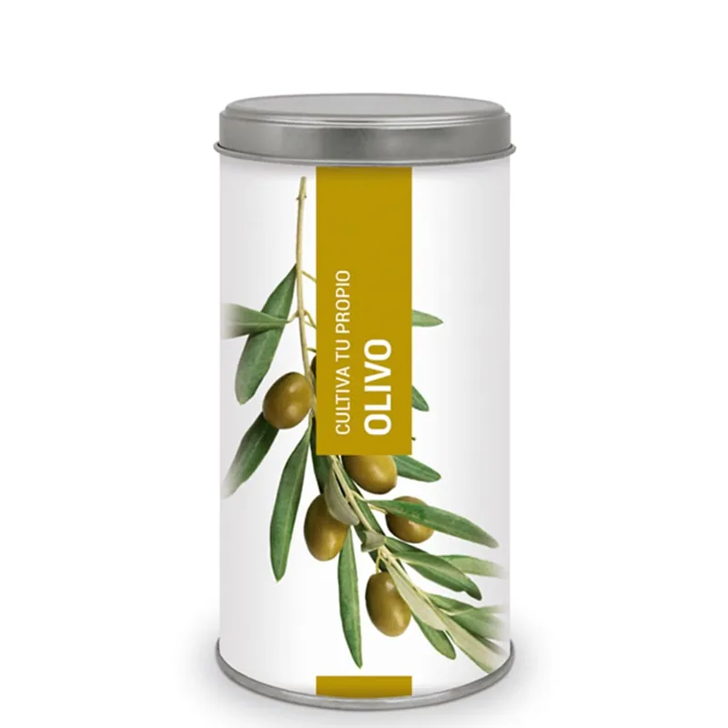 Nueva Colección Kit Cultiva tu propio olivo